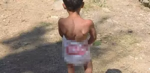 Günün karesi Mayo bulamadı, suya böyle girdi