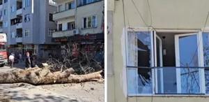 Sakarya’da asırlık ağaç binanın üzerine devrildi