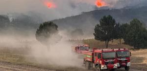 Orman yangınlarında ölümcül tuzak Alev Kırbacı can alıyor