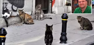 Akciğerine kedi tüyü kaçan adam hayatını kaybetti
