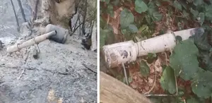 Sakarya’daki orman yangınının sebebi belli oldu: 2 gözaltı
