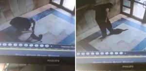 Kediyi vahşice öldüren caninin ifadesi ortaya çıktı: Onu can düşmanım gibi gördüm