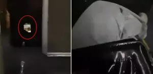 Halk otobüsü şoförü müstehcen film izlerken kadın yolcuya yakalandı
