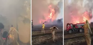 Çanakkale’de alev savaşçılarının zorlu mücadelesi kamerada Ateş çemberinin içinde kaldılar