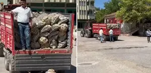 İlçe başkanının patates şovu pahalıya patlayacak