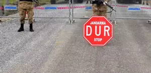 Tilki ile köpek boğuştu, bir belde karantinaya alındı