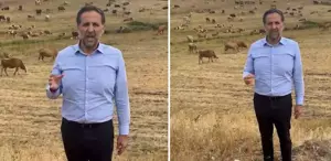 Arkasına hayvan sürüsünü alan vekil, Bakan Yumaklı’ya seslendi: Bu zararı karşılayın