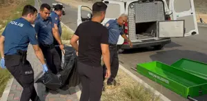 Yol kenarında erkek cesedi bulundu, bir ihtimal üzerinde duruluyor