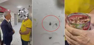Sineğe çörek otu savunması Mide bulandıran görüntüler belediye başkanını çıldırttı