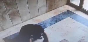 Başakşehir’de kediye işkence davasında karar: 3 yıl 8 ay hapis cezası