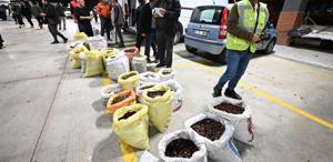 Kilosu 400 liraya satışa çıktı Herkes bu lezzetin peşinde
