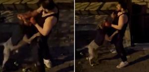Pitbull cinsi köpek sahibini ısırdı, adamın yardım çığlıkları sokağı inletti