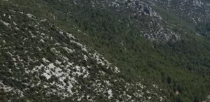 Sıcağıyla meşhur ilimize mevsimin ilk karı düştü