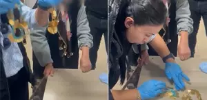 Dilencinin üzerinden çil çil altın çıktı Zabıta say say bitiremedi