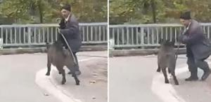 Sesleri duydu, dönüp arkasına bakınca şok yaşadı Hala hayatta olması mucize