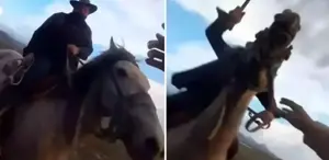 Yılkı atlarını fotoğrafını çekmek isterken kırbaçlı saldırıya uğradılar