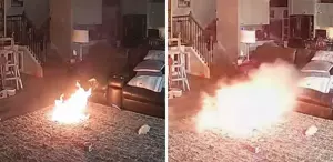 Lityum pili ısıran köpek evde büyük bir yangının çıkmasına sebep oldu