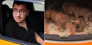 Köpeklere cinsel saldırıda bulunup öldüren doktora hapis cezası