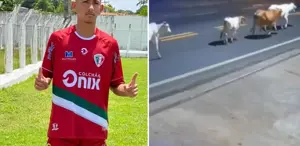 Ölüm anı kamerada Başıboş inekler, genç futbolcuyu hayattan kopardı