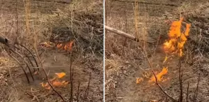 Vatandaş paylaştığı video ile yetkililere seslendi: İlimizin kurtuluşu olabilir