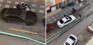 Kooperatif kavgasında kan döküldü: 2 kişi öldü, 2 kişi yaralandı