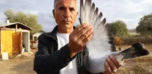 Bir ilimize özgü ırk Değeri yarım milyondan fazla, yurt dışından talep yağıyor