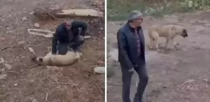 Fenalaşan köpeği kalp masajıyla hayata döndürdü