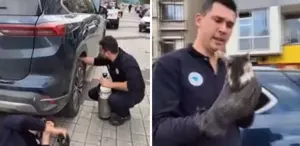 Kediyi otomobilden çıkarmak için hava tüpü kullandılar