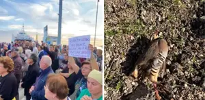 Paşalimanı Adası’nda keklik avına gelen avcılar protesto edildi