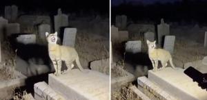 Yapay zekanın geldiği son nokta: Binlerce kişi gerçek sanıp paylaştı