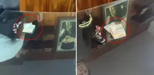 Eski Kemer Belediye Başkanı’na suçüstü: Rüşvet iddiasıyla gözaltında