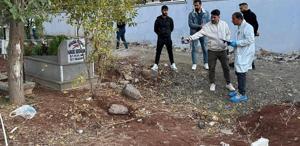 Eşinin kabrini ziyarete giden şahıs, mezarda korkunç manzarayla karşılaştı