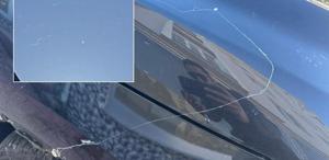 Görüntü Türkiye’den Gökyüzünden örümcek ağı yağdı