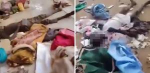 Sudan’da kadın doğum hastanesine saldırı: 460 kişi hayatını kaybetti