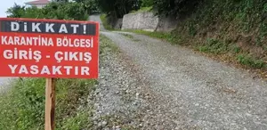 O kentimizde şap hastalığı paniği Çok sayıda mahalle karantinaya alındı