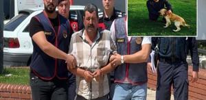 Aydın’da borç tartışması sonucu arkadaşını öldüren sanığa müebbet hapis cezası