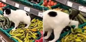 Zincir markette hijyen skandalı: İşedi resmen