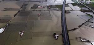 Gediz Nehri Taştı, Tarım Arazileri Su Altında Kaldı