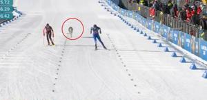 Dev organizasyonun önüne geçen görüntü