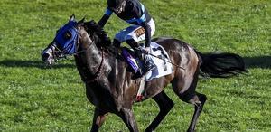 “100 milyonluk yarış atları kayıp“ iddiasına açıklama geldi