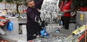 Hamsinin fiyatı 50 liraya düştü, tezgahlarda kuyruk oluştu