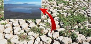 3 ilçeyi besleyen göl yeniden su tutmaya başladı Her yerden su fışkırıyor