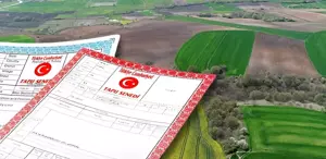 Ortak tapuda satış yapanlar dikkat Yargıtay’dan kritik karar çıktı