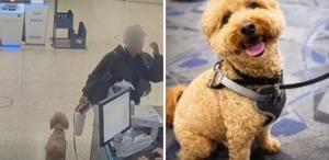 Uçağa alınmayınca köpeğini havalimanında bırakan yolcu tutuklandı