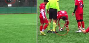 Sahalarda eşi benzeri görülmemiş olay Top çarpan hayvanı kalp masajıyla hayata döndürdü