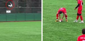 Maç sırasında top çarpan martıdan acı haber