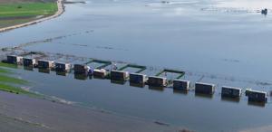 Yasak dinlemeyip ovaya yaptılar, gölün ortasında kala kaldılar