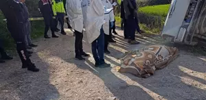 Yaşlı adam tarla komşusunu ezerek öldürdü