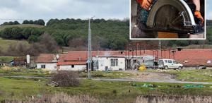 Çiftlik evinde dehşet: İşçisine elektrikli testere ile saldırdı