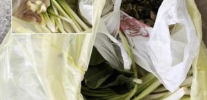 Pazardan aldı, zehir çıktı Ağzına bir lokma alan doktor fenalaştı